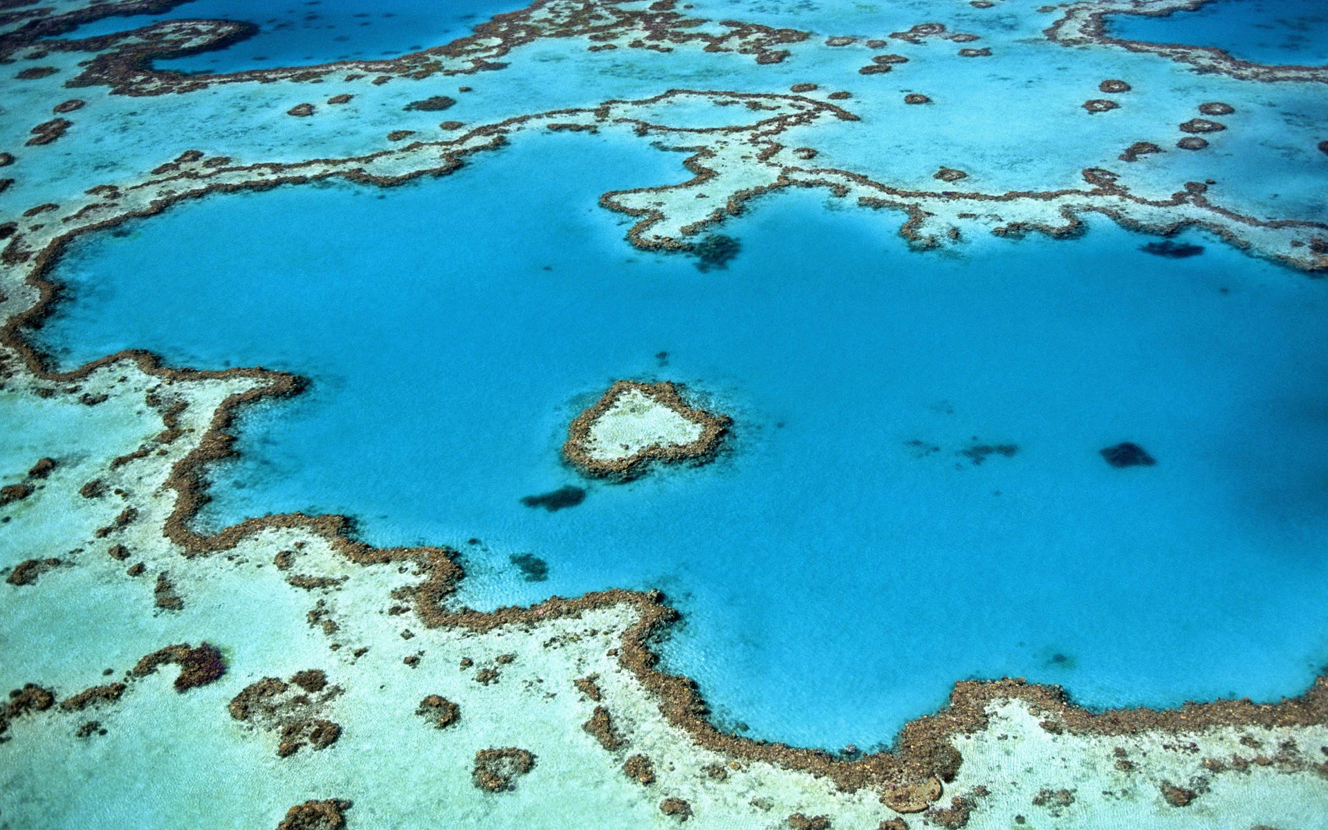 Great Barrier Reef Aerial View